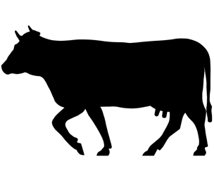 cow svg