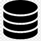 data icon